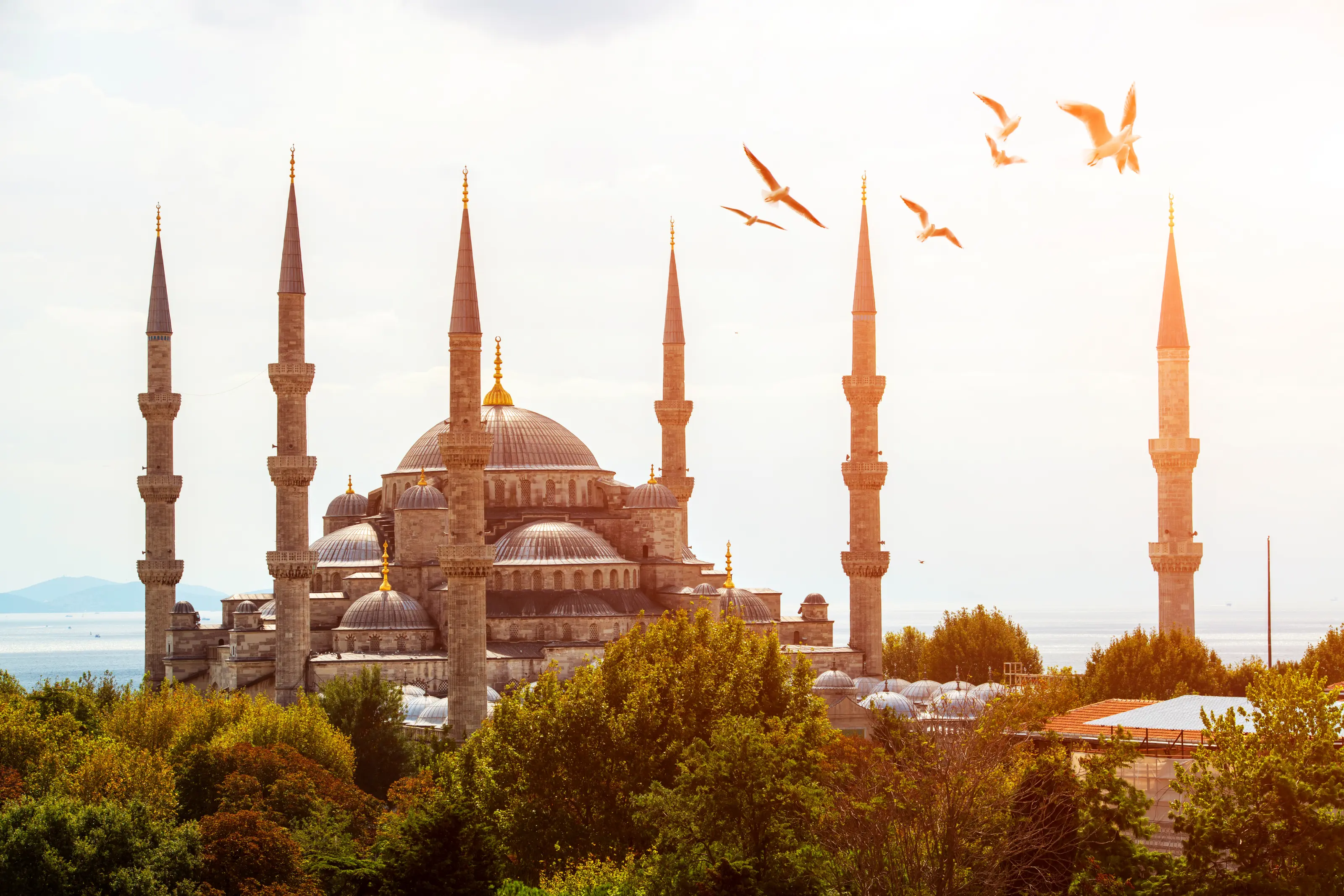 Sultanahmet Camii (Blue Mosque)